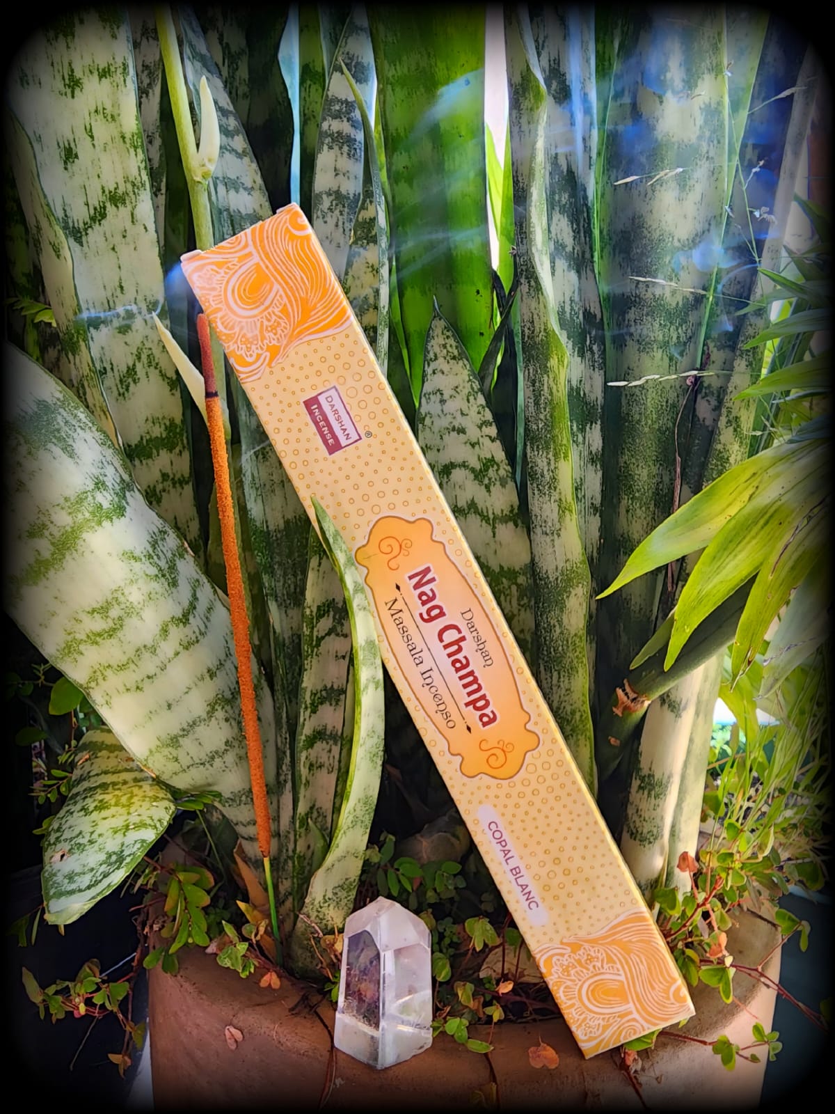 Incenso Nag Champa Indiano Massala – Copal Blanc