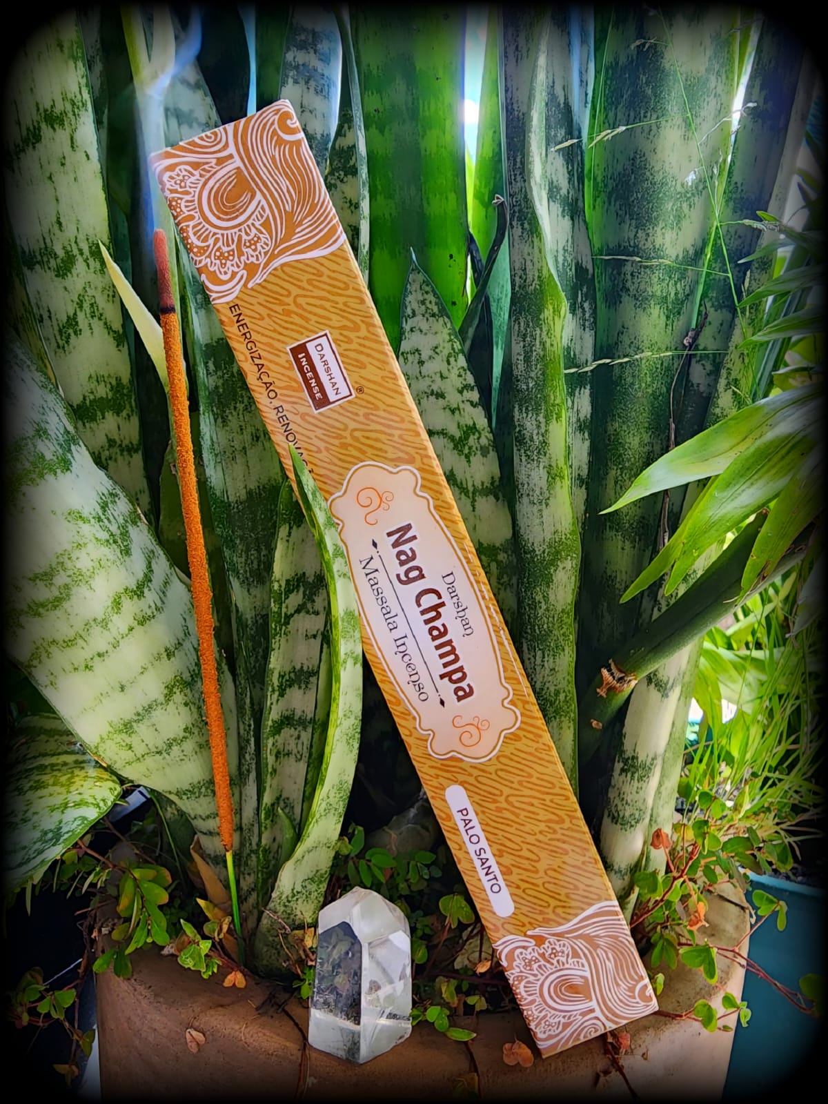 Incenso Nag Champa Indiano Massala – Palo Santo